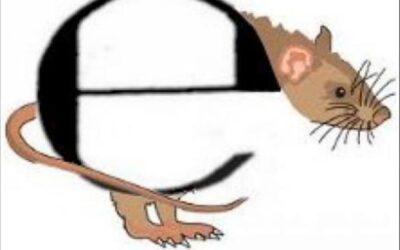 Erratas y errores