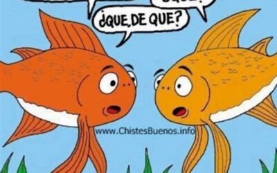 Memoria de pez