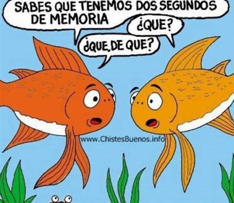 Memoria de pez