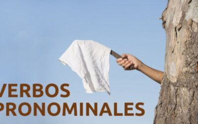 Verbos pronominales