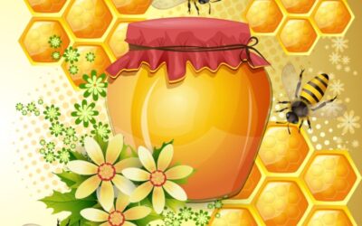 Abejas y miel