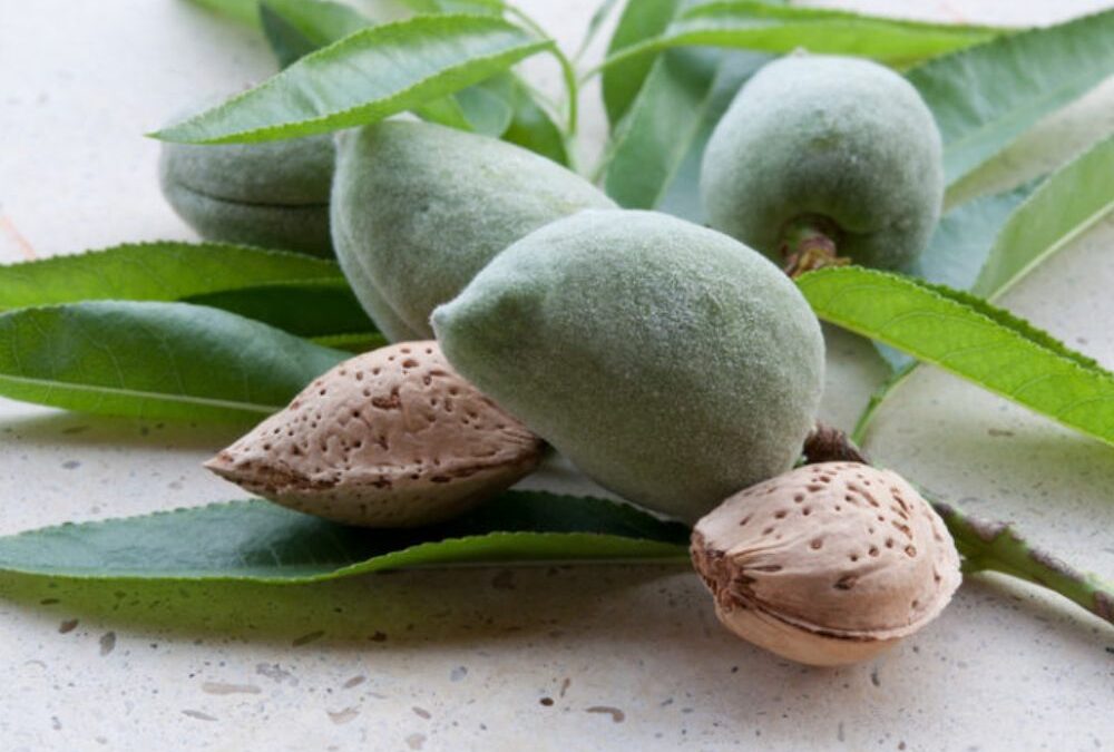 El truco del almendruco