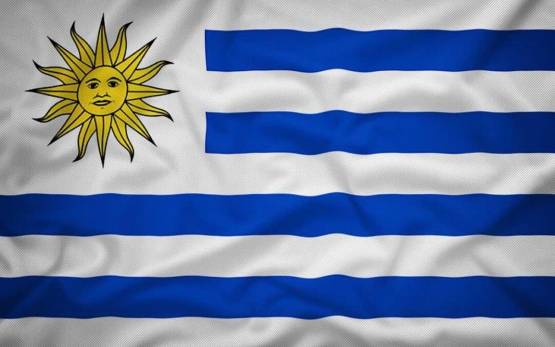 Uruguayismos I: de caballos a valor