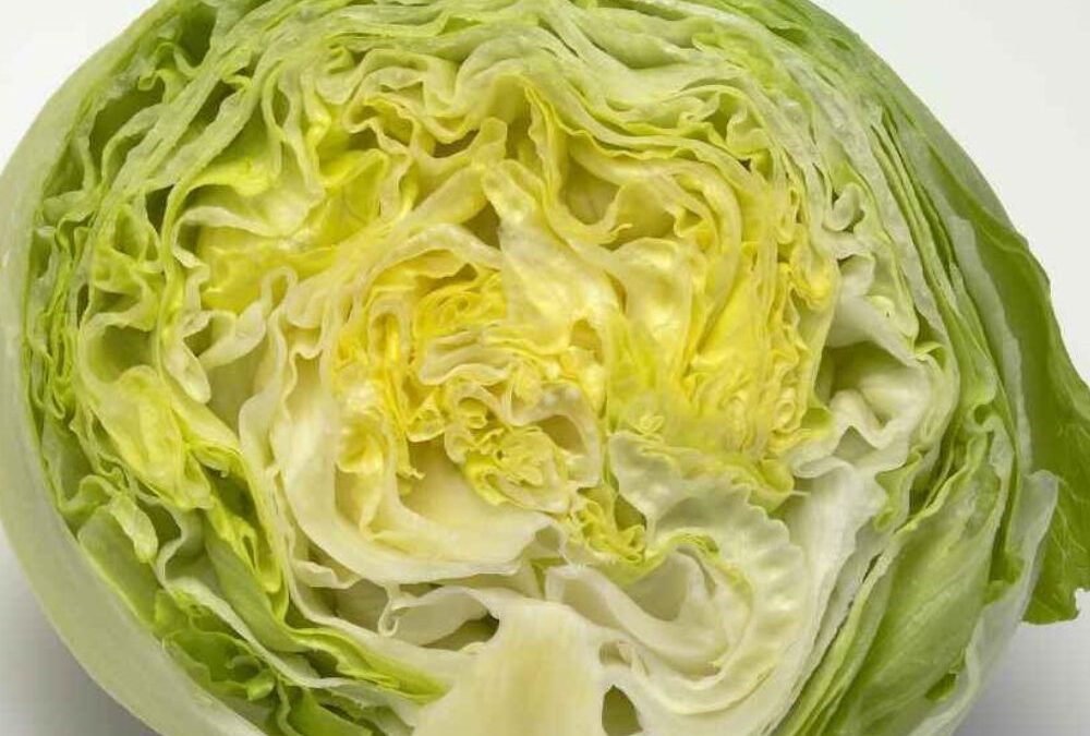 La lechuga iceberg