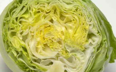 La lechuga iceberg