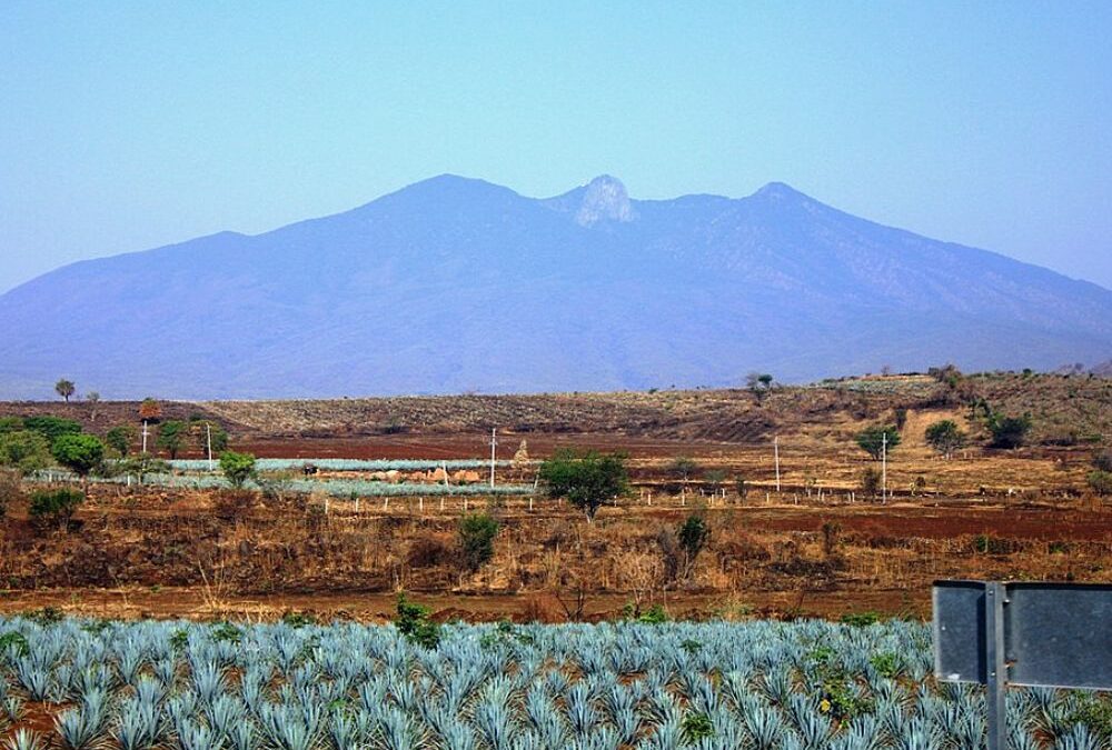 ¿Un tequila?