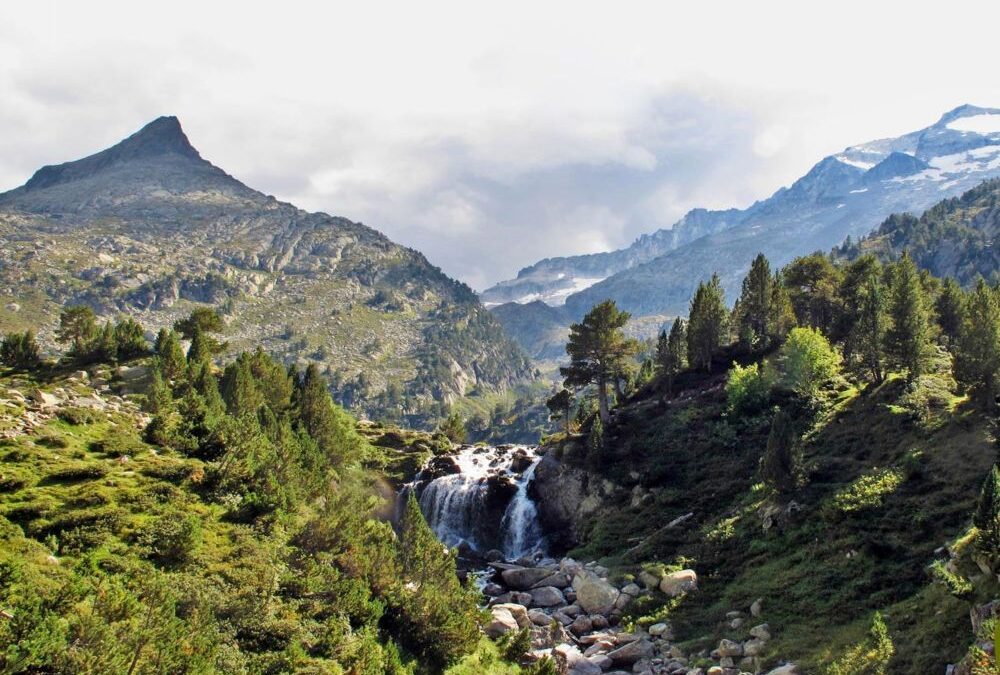 Forau de Aiguallut