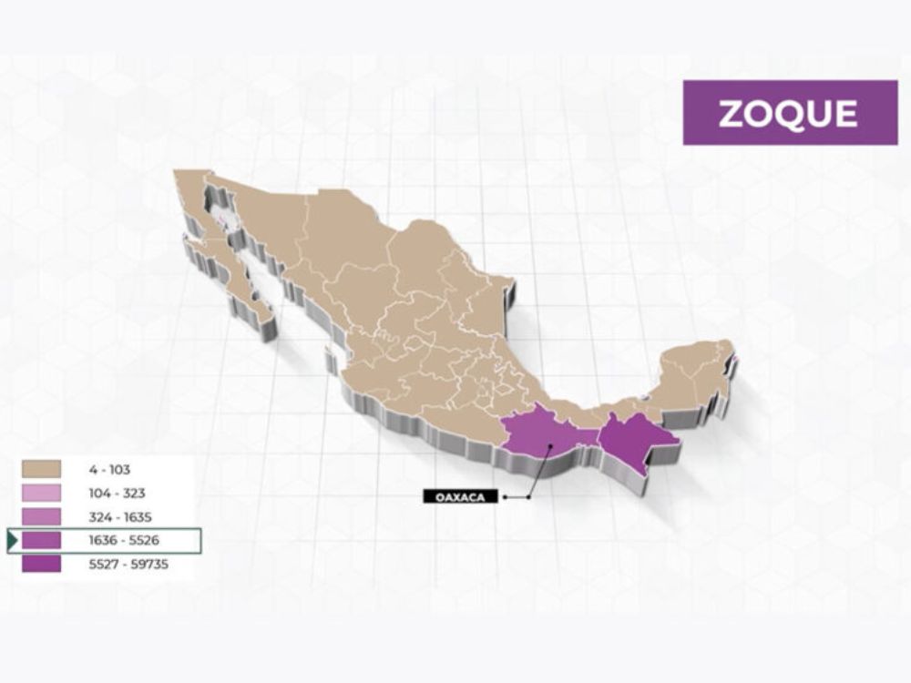 Pueblo y lengua: zoque