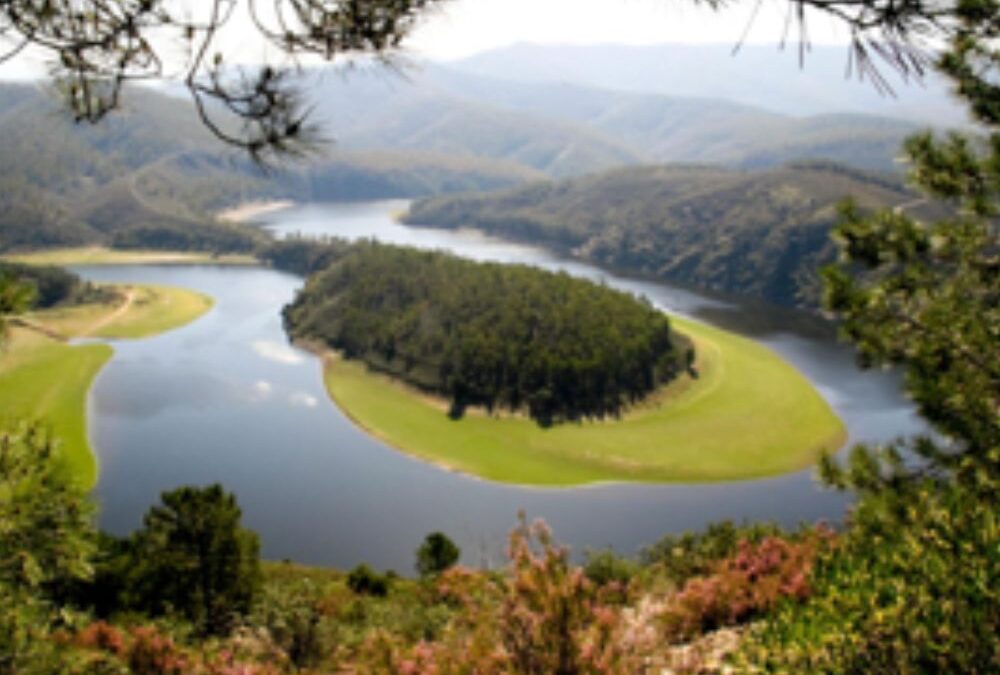 El meandro de Melero