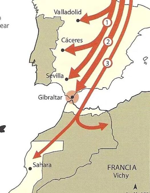 La División Azul (II)