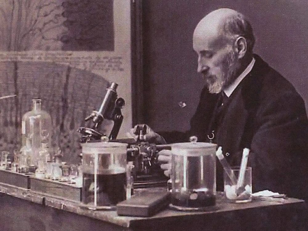 Ramón y Cajal