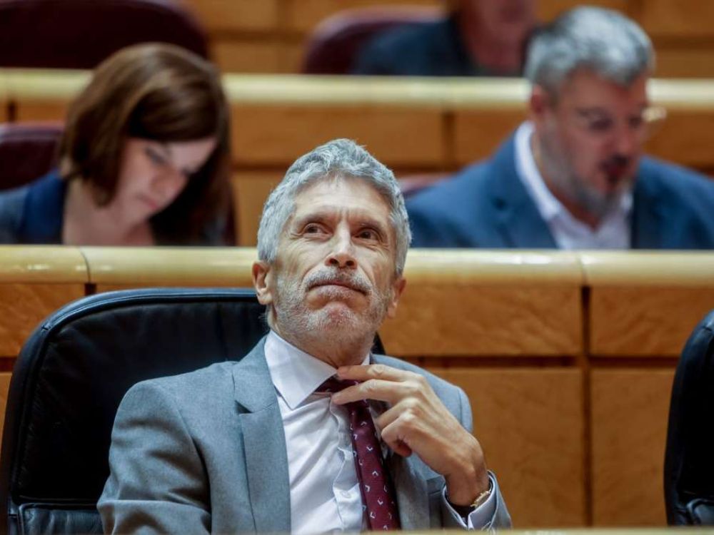 Fernando Grande-Marlasca