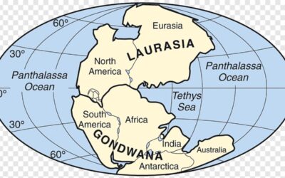 Gondwana