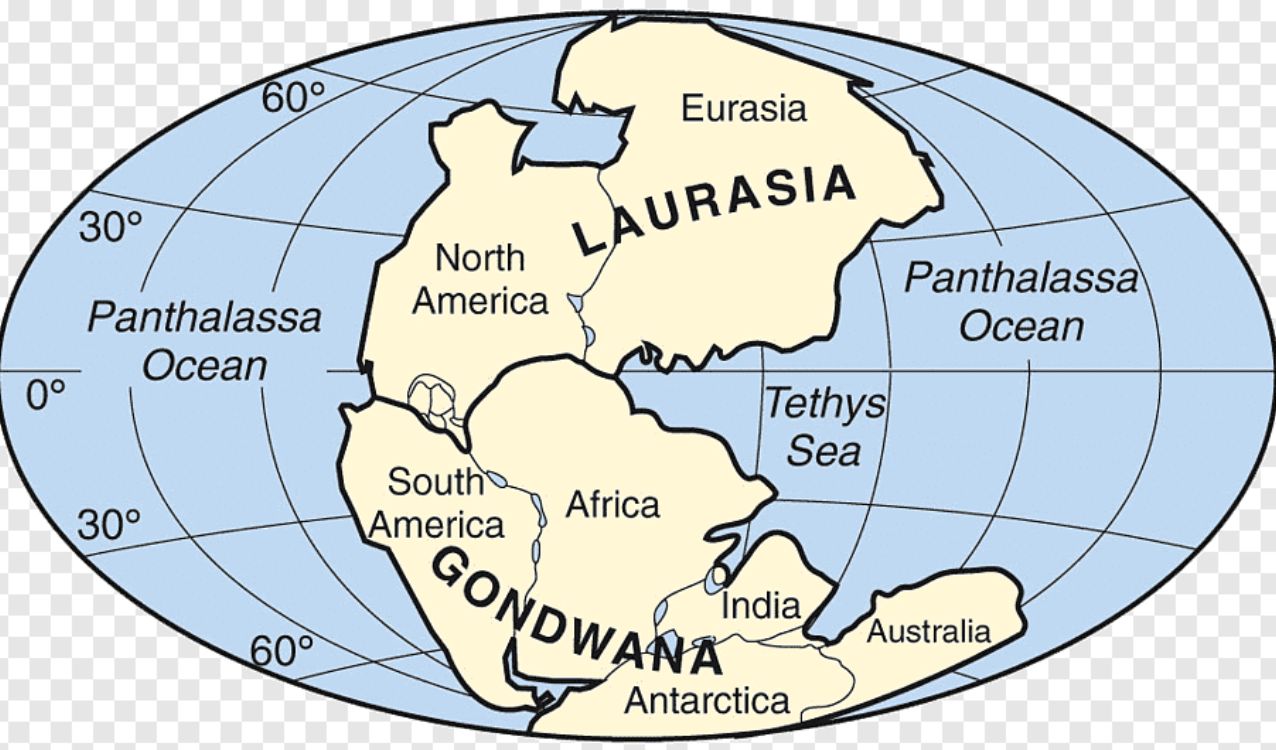 ¿Qué fue Gondwana?