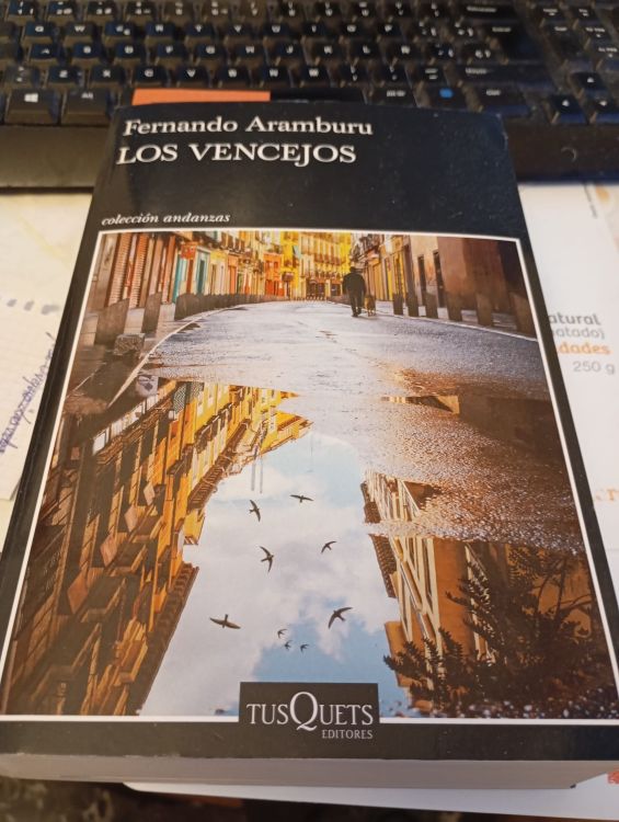 'Los vencejos', de Fernando Aramburu
