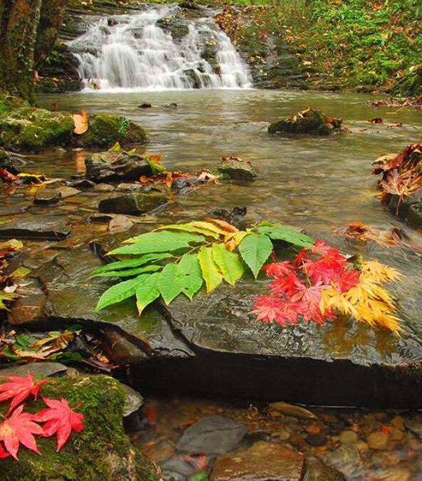 Parque Natural de Pagoeta