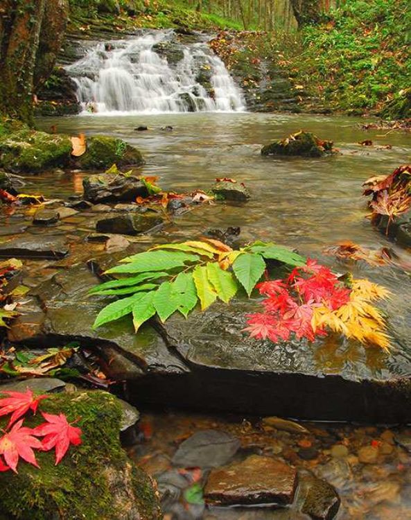 Parque Natural de Pagoeta