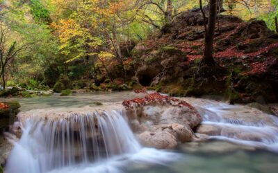 Parque Natural de Urbasa-Andía