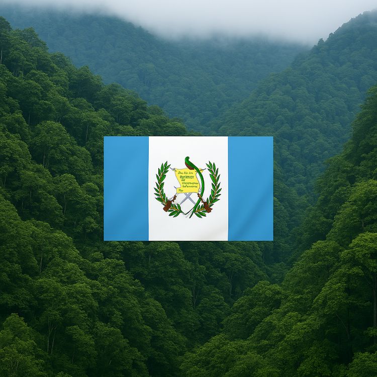 El origen de Guatemala. Su bandera sobre bosque verde y montañas con niebla