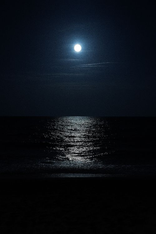 ¡Él llegó con la luna llena'. Playa nocturna iluminada por la luna llena, con reflejo sobre el mar y atmósfera de claridad inquietante