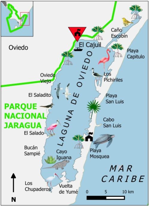 Laguna de Oviedo Mapa ilustrado de la Laguna de Oviedo y sus alrededores, con fauna local, islotes, playas y puntos de interés dentro del Parque Nacional Jaragua