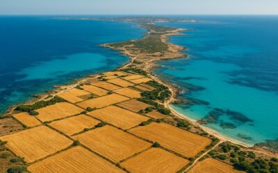 Formentera, trigo y mar
