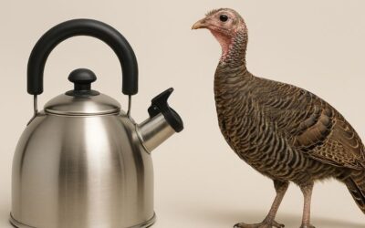 Pava, del mate al corral